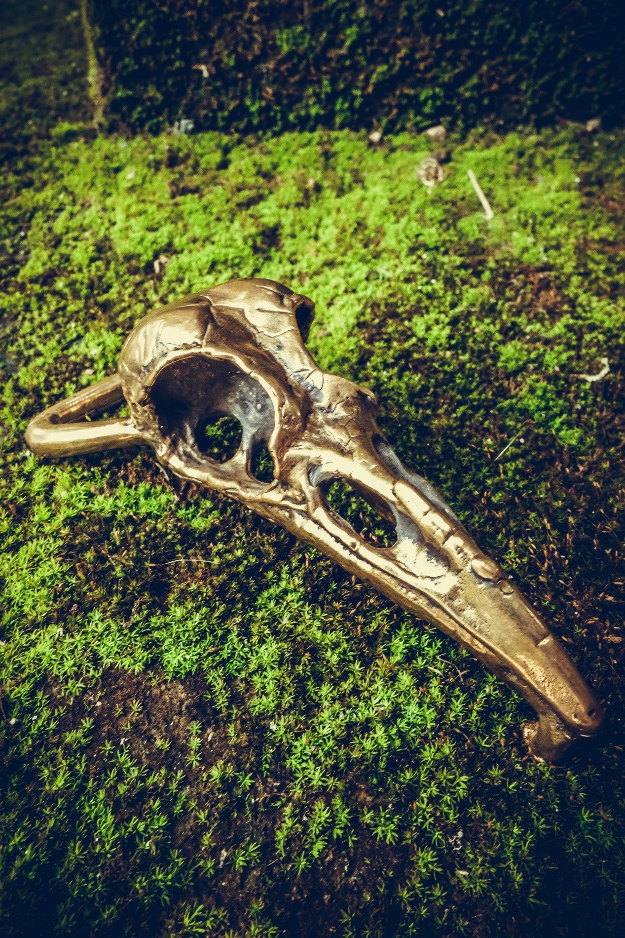 Brass Old Crow Skull belt buckle - anahata designs